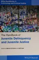 Cover image for The handbook of juvenile delinquency and juvenile justice