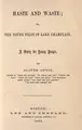 Cover image for Haste and waste