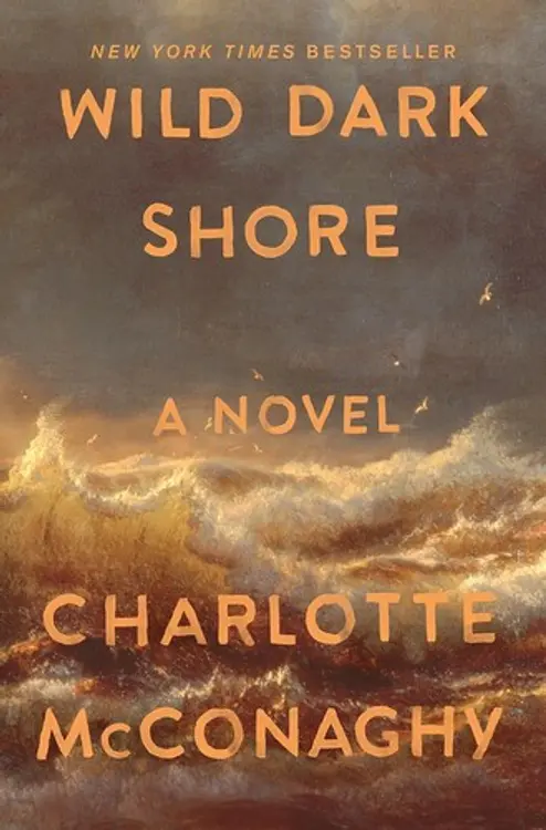 Wild Dark Shore: A Novel cover