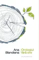 Cover image for Orologiul fara ore