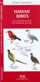 Cover image for Hawaii Birds