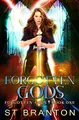 Cover image for Forgotten Gods