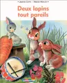 Cover image for Deux lapins tout pareils (livre souple)