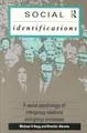 Cover image for Social identifications