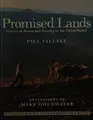 Cover image for Promised Lands