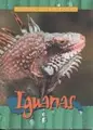 Cover image for Iguanas (Animals of the Rain Forest)