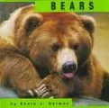 Cover image for Bears
