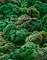 Cover image for Juan Carlos Batista. Realidad casi humo.