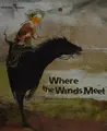Cover image for Where the Winds Meet