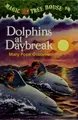 Cover image for Dolphins at Daybreak