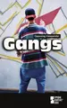 Cover image for Opposing Viewpoints Series - Gangs (hardcover edition) (Opposing Viewpoints Series)