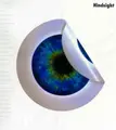 Cover image for Hindsight