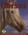 Cover image for Horses (Early Bird Nature Books)
