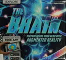 Cover image for Brain