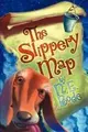 Cover image for The Slippery Map