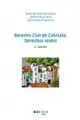 Cover image for Derecho civil de Cataluña. Derechos reales