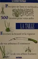 Cover image for La taille