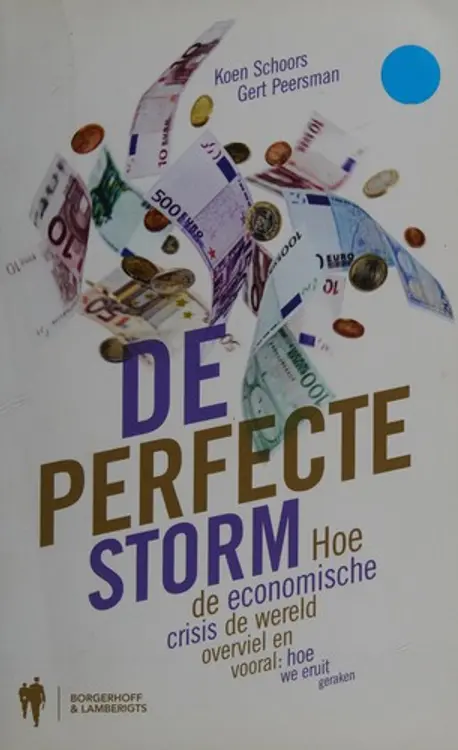 Deperfecte storm: hoe de economische crisis de wereld overviel en vooral: hoe we eruit geraken cover