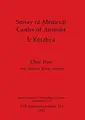 Cover image for Survey of medieval castles of Anatolia