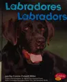Cover image for Labradores =