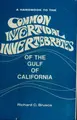 Cover image for A handbook to the common intertidal invertebrates of the Gulf of California