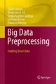 Cover image for Big Data Preprocessing