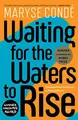 Cover image for Waiting for the Waters to Rise