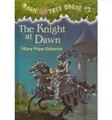 Cover image for The Knight at Dawn