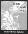Cover image for Where the gods reign