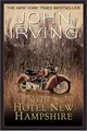 Cover image for The Hotel New Hampshire