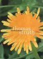 Cover image for Thomas Struth - the Dandelion Room