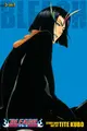 Cover image for Bleach
