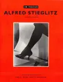 Cover image for In Focus: Alfred Steiglitz