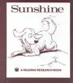 Cover image for Sunshine (Ten Word Books)