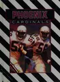 Cover image for Phoenix Cardinals