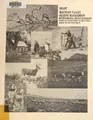 Cover image for Draft environmental impact statement, Mountain Valley grazing management