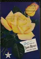 Cover image for Peace the star of star roses
