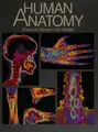 Cover image for Human anatomy