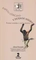 Cover image for Espejo cóncavo y duende negro