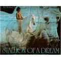 Cover image for Stallion of a dream