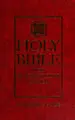 Cover image for NIV Popular Bible (Bible Niv)
