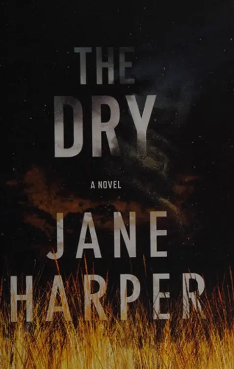 The dry: a novel cover