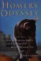 Cover image for Homer's odyssey