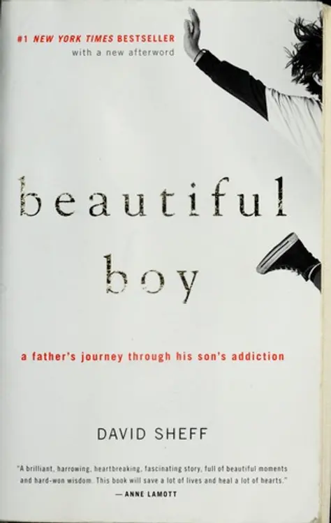 Beautiful Boy: A Father's Journey Through His Son's Addiction cover