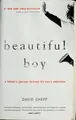 Cover image for Beautiful Boy: A Father's Journey Through His Son's Addiction