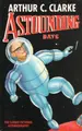 Cover image for Astounding Days