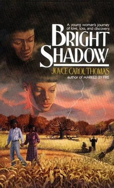 Bright shadow cover