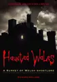 Cover image for Haunted Wales