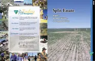 Cover image for Split estate