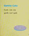 Cover image for Exotic cats